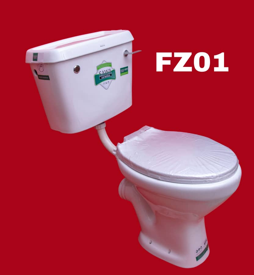 FZ – 01 sawa ordinary flush handle toilet