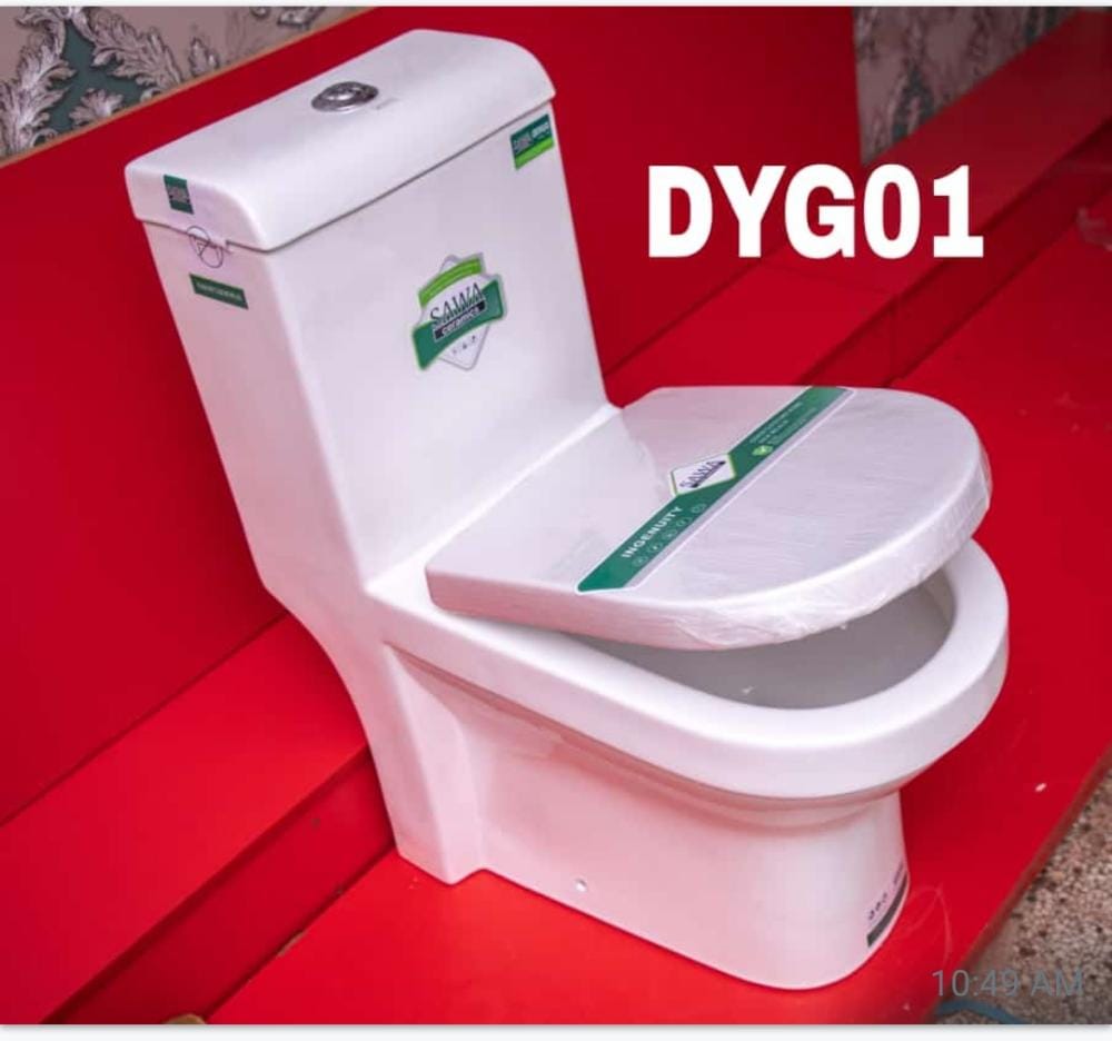 DYG – 01 sawa combined one piece ceramics toilet